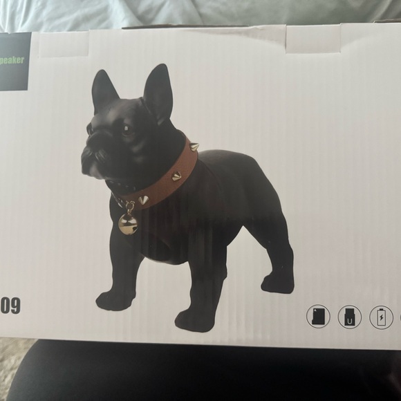 Black Bulldog Speaker with Brown Collar